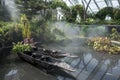 A pair of native canoes sit in a pond in the rainforest section of the Gardens by the Bay in Singapore.