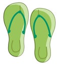 Green slippers, vector or color illustration