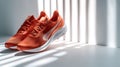 A pair of Nike running shoes are on display Royalty Free Stock Photo