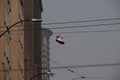 Pair of Nike shoes hanging from a metro wire in downtown Seattle