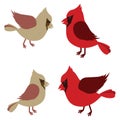Pair of Northern Cardinals Royalty Free Stock Photo