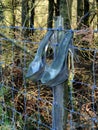 Glass slippers, old, hanging on barbed wire.