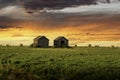 Old barns on a wheat field with round hay bales at sunrise on the Canadian prairies Royalty Free Stock Photo