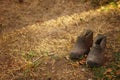 Pair of old black dirty galoshes in the garden