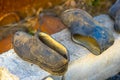 A pair of old dirty galoshes on bricks outdoor