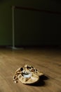 Pair of old pointe ballet shoes on the floor. Dark background, copy sace.