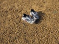 Pair of old shoes abandoned