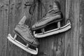 A pair of old skates with black leather boots and white blades hang Royalty Free Stock Photo