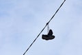 Pair of old sneakers hanging on wire Royalty Free Stock Photo