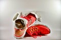 Old Sneakers. Old running shoes. People, pair. Royalty Free Stock Photo