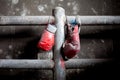 Pair of old and tattered boxing gloves Royalty Free Stock Photo