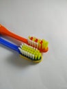 a pair of orange and blue toothbrushes