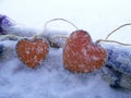 A pair of orange hearts of felt on snow covered with snow