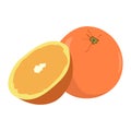 Pair of oranges Royalty Free Stock Photo