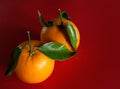 Pair of oranges with leaves Royalty Free Stock Photo