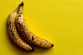 Pair of overripe bananas Royalty Free Stock Photo