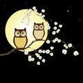 Pair of owls on branch in night Royalty Free Stock Photo