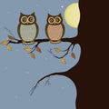 Pair of owls on branch Royalty Free Stock Photo