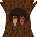 A pair of owls in the hollow.