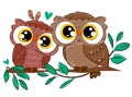 A pair of owls sits on a branch with foliage isolated on a white background. Bird vector illustration. Beautiful