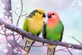 Pair Of Parakeet On A Tree Branch Generative AI