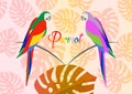 Pair of parrots tropical bird icon image illustration design colorful