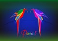 Pair of parrots tropical bird icon image illustration design colorful