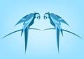 Pair of parrots tropical bird icon image illustration design monochrome