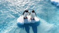 Pair of penguins float on the ice floe in the Southern Ocean in Antarctica in search of food. The effects of global warming,