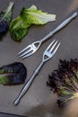 Pair of pewter salad forms and artisan lettuce leaf still life