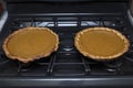 Pair pieces of Pumpkin Pie Freshly Baked on Oven in the Kitchen Royalty Free Stock Photo