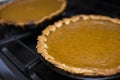 Pair pieces of Pumpkin Pie Freshly Baked on Oven in the Kitchen Royalty Free Stock Photo