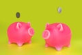 Pair piggy banks over salad green background