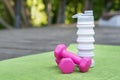 Pair of pink dumbbells and silicone water bottle on yoga mat. Fitness and activity outdoors. Sport and healthy lifestyle concept