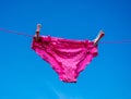 Pretty in Pink Panties drying on the washing line. Royalty Free Stock Photo