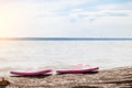 A pair of pink sandals on sunny beach with tree trunk near the seashore on a summer day. Rest and travel to hot countries Royalty Free Stock Photo