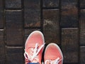 a pair of pink sneakers on the wet asphalt Royalty Free Stock Photo