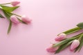 A pair of pink tulip bouquet Royalty Free Stock Photo