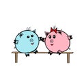 Pair of a Pink Vector piggy fat girl and a blue piggy boy sitting on a bench together on a white background