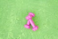 Pair of pink womens dumbbells on green background. Equipment for sports. Sport Element of Fitness. Top view