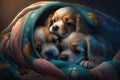 Pair of Playful Puppies Cuddled Together in a Colorful Dog Bed