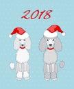 Pair of poodle with 2018 Royalty Free Stock Photo
