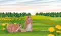 Pair of prairie dogs in a green field with blooming yellow dandelions. Meadow in summer.