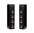 Pair of professional modern audio speakers in black wooden casing isolated on white background Royalty Free Stock Photo