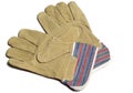 Pair of protective gloves