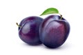 Pair of purple Plums Royalty Free Stock Photo