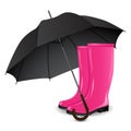 A pair of rainboots and an umbrella Royalty Free Stock Photo