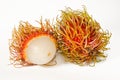 Pair of Rambutan