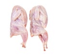 Pair of raw plucked quails isolated on white Royalty Free Stock Photo