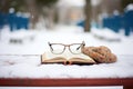 pair of reading glasses atop an open book on a snow-blanketed bench Royalty Free Stock Photo